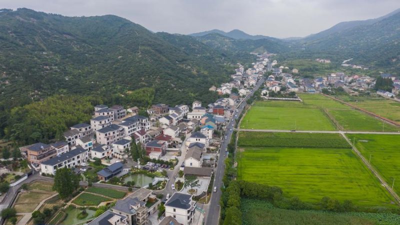Banco de fomento chinês aumentará apoio financeiro à revitalização rural