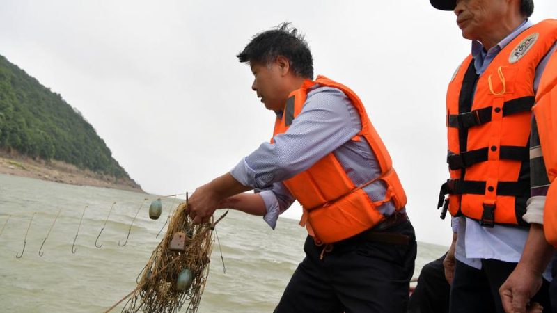 China reforça repressão à pesca ilegal