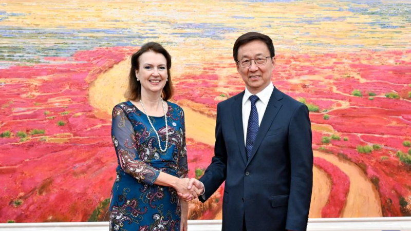 Vice-presidente chinês reúne-se com ministra das Relações Exteriores argentina