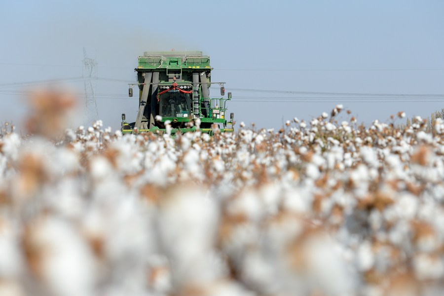 “Boicotes” ao algodão de Xinjiang prejudicam direitos dos consumidores, diz associação chinesa