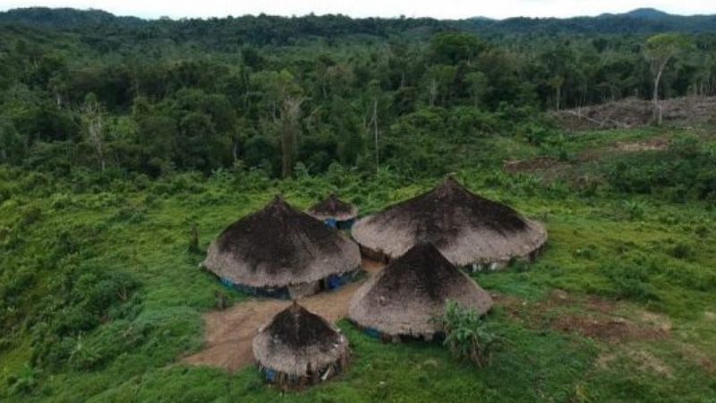 Governo brasileiro resgata mais de mil indígenas yanomami em estado grave