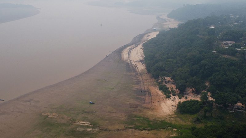 Destruição da Amazônia poderia chegar a um ponto de não retorno até 2050, alerta estudo