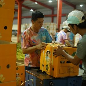 Agricultores vietnamitas visam o multibilionário mercado chinês