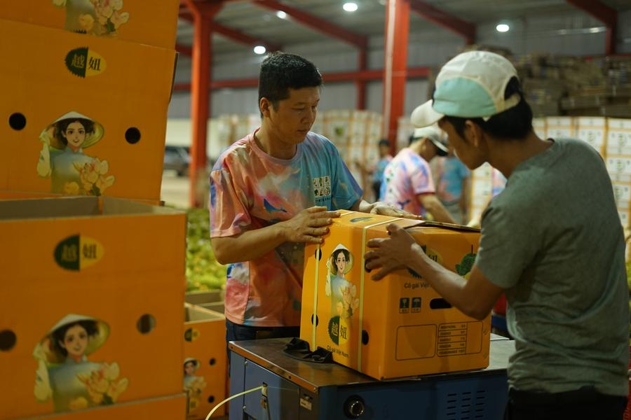 Agricultores vietnamitas visam o multibilionário mercado chinês