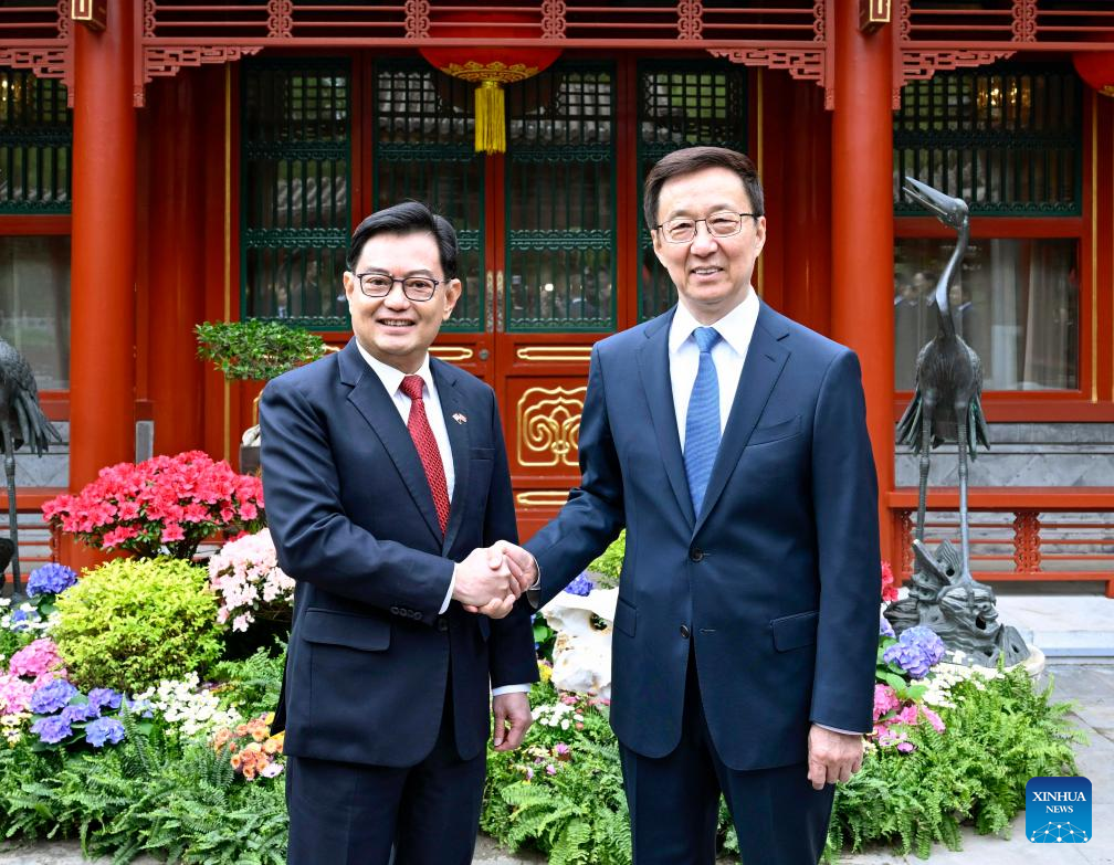 Vice-presidente chinês reúne-se com vice-premiê de Cingapura