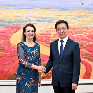 Vice-presidente chinês reúne-se com ministra das Relações Exteriores argentina
