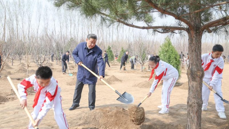 Xi planta árvores em Beijing e pede esforços de arborização em todo o país para uma Bela China 