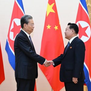 China está pronta para tomar “Ano da Amizade China-RPDC” como oportunidade para promover relações bilaterais, diz mais alto legislador