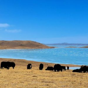 Índice de monitoramento ecológico do Parque Nacional de Sanjiangyuan da China recebe aprovação